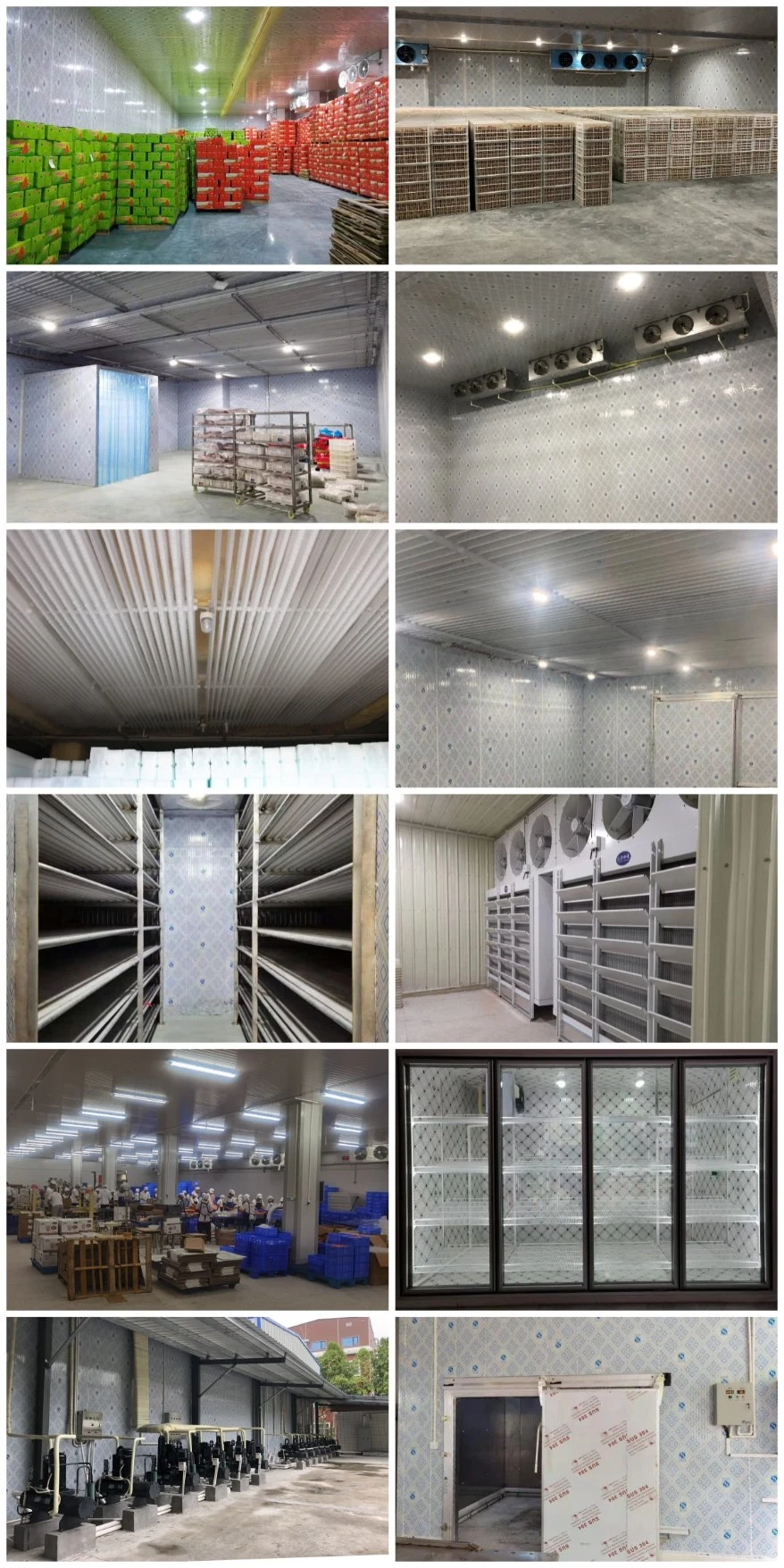 Customized Refrigeration Cold Storage Room