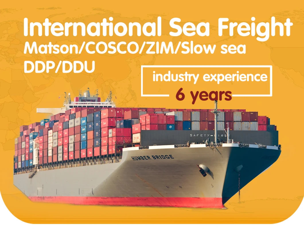 Sea Freight Forwarder From China to USA UK Australia United Kingdom Europe America DDP Fba Amazon Shipping Forestleopard