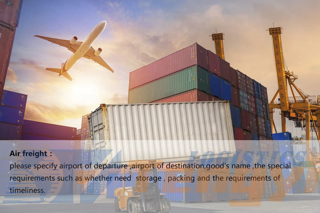 Sea Shipping Agent Service Door to Door to South Korea Shipping Cost for DDU Logistics Service