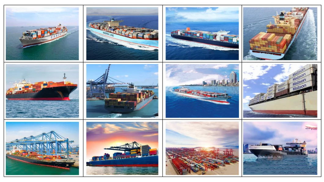 Cheap Sea Agent FCL LCL Shipment Qingdao Ningbo Port Directly to The Middle East Shipping