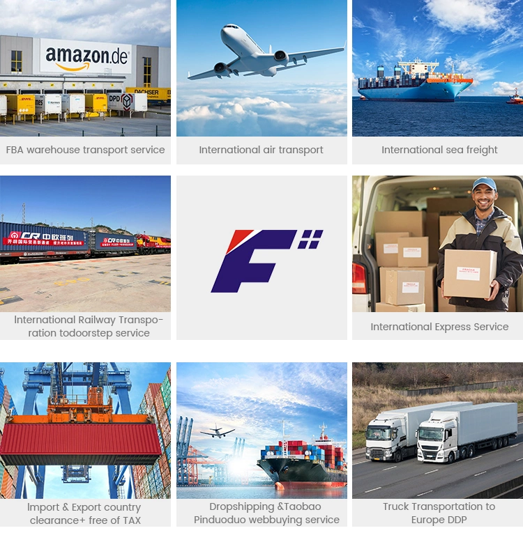 Lowest Cost Freight Sea Freight Ocean Shipping From China to Peru/Canada