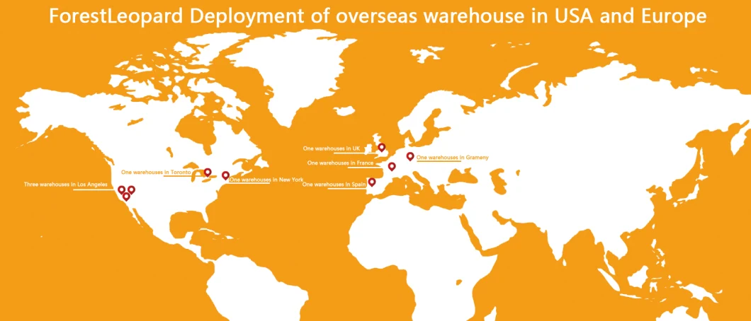 Sea Freight Forwarder From China to USA UK Australia United Kingdom Europe America DDP Fba Amazon Shipping Forestleopard