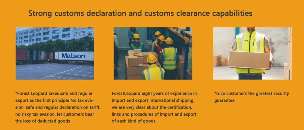 Sea Freight Forwarder From China to USA UK Australia United Kingdom Europe America DDP Fba Amazon Shipping Forestleopard