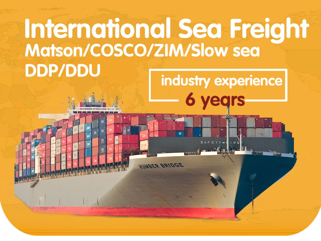Top China Forwarding Agent Best Sea Shipping Cost China to Europe Switzerland Germany 