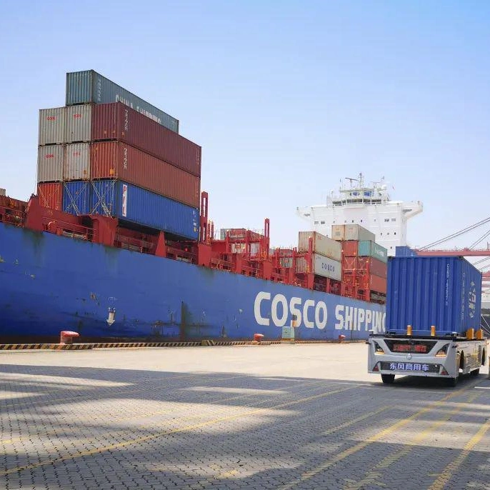 China Sea Shipping Freight Agent From Guangzhou to Algeria