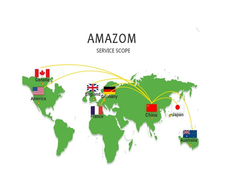 Amazon From China to America/USA/Canada/Japan Fba Freight Forwarder by Air and Sea