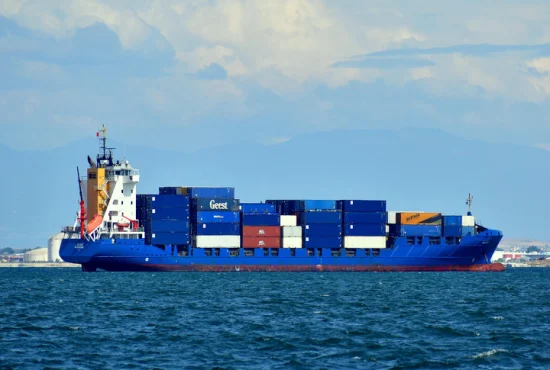 창고 이행 서비스 DDP LCL을 갖춘 중국 해상 운송 대리점의 전문 해상 운송 서비스