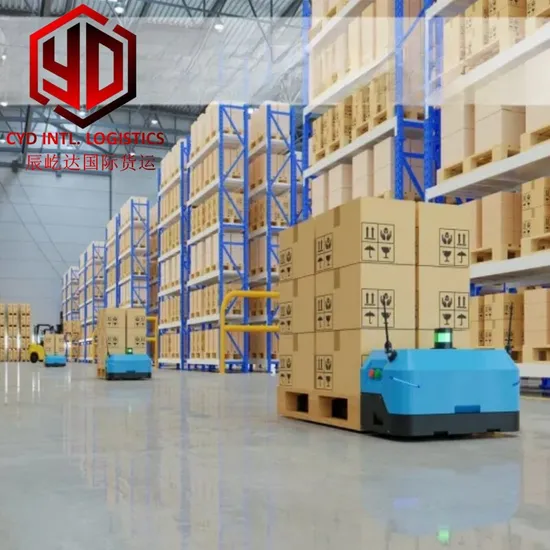 빠른 배송 배송 서비스 중국에서 이집트까지 해상 화물