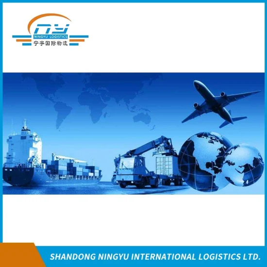 전문 화물 대리점 / 경험이 풍부한 물류 서비스 제공자 / 중국에서 호주까지 해상/항공을 통한 컨테이너 운송